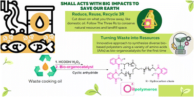 Graphical abstract: Amino acids as bio-organocatalysts in ring-opening copolymerization for eco-friendly synthesis of biobased oligomers from vegetable oils