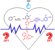 Graphical abstract: DFT investigation of the DDQ-catalytic mechanism for constructing C–O bonds