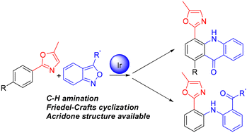 Graphical abstract: Synthesis of acridones via Ir(iii)-catalyzed amination annulation of oxazoles with anthranils