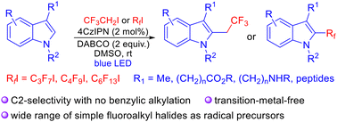 Graphical abstract: Photocatalytic C2-trifluoroethylation and perfluoroalkylation of 3-substituted indoles using fluoroalkyl halides