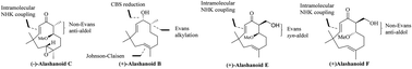 Graphical abstract: Asymmetric total synthesis of humulane sesquiterpenoids alashanoids B, C, E, and F and 2,9-humuladien-6-ol-8-one