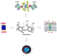 Graphical abstract: Pillararenes: a new frontier in antimicrobial therapy