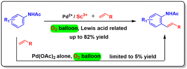 Graphical abstract: Pd(ii)/LA-catalyzed acetanilide olefination with dioxygen