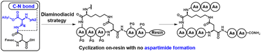 Graphical abstract: Synthesis of Asp-based lactam cyclic peptides using an amide-bonded diaminodiacid to prevent aspartimide formation