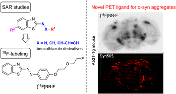 Graphical abstract: Development of an 18F-labeled azobenzothiazole tracer for α-synuclein aggregates in the brain