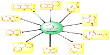 Graphical abstract: Update on thiopyran-fused heterocycle synthesis (2013–2024)