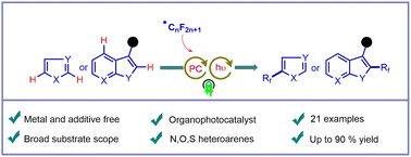 Graphical abstract: Photoinduced metal-free trifluoro/perfluoroalkylation of heteroarenes