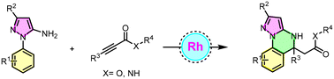 Graphical abstract: Combinatorial synthesis of substituted pyrazolo-fused quinazolines by the Rh(iii)-catalyzed [5 + 1] annulation of phenyl-1H-pyrazol-5-amine with alkynoates and alkynamides