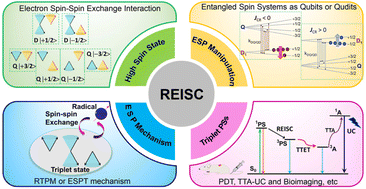 Graphical abstract: Radical enhanced intersystem crossing mechanism, electron spin dynamics of high spin states and their applications in the design of heavy atom-free triplet photosensitizers