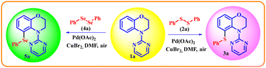 Graphical abstract: Expedient, regioselective C–H chalcogenation of 3,4-dihydro-1,4-benzoxazines using a palladium–copper catalyst