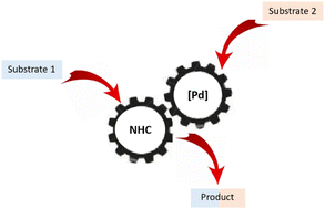 Graphical abstract: N-Heterocyclic carbene/palladium synergistic catalysis in organic synthesis