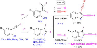Graphical abstract: Facile synthesis of diiodoheteroindenes and understanding their Sonogashira cross-coupling selectivity for the construction of unsymmetrical enediynes