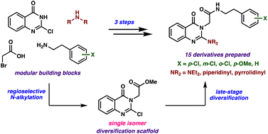 Graphical abstract: Modular and divergent synthesis of 2,N3-disubstituted 4-quinazolinones facilitated by regioselective N-alkylation
