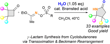 Graphical abstract: γ-Lactam synthesis from cyclobutanone via transoximation and the Beckmann rearrangement