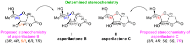 Graphical abstract: First total synthesis of asperilactone B. Revision of absolute stereochemistry of asperilactones B and C