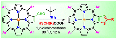 Graphical abstract: A divergent one-pot thiol-Michael strategy to create β-thiophene-fused porphyrins