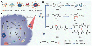 Graphical abstract: Synthesis of a catalytic nanomaterial from polypyrrole and a pro-apoptotic peptide to target mitochondria for multimodal cancer therapy