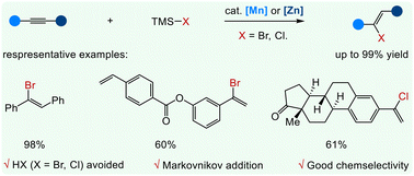Graphical abstract: Lewis acid catalyzed Markovnikov hydrobromination and hydrochlorination of alkynes using TMSX (X = Br, Cl)