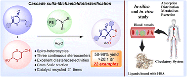 Graphical abstract: Supported-amine-catalyzed cascade synthesis of spiro-thiazolone-tetrahydrothiophenes: assessing HSA binding activity