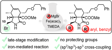 Graphical abstract: Synthesis of cytochalasan analogues with aryl substituents at position 10