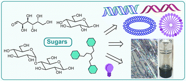 Graphical abstract: Synthetic approaches of carbohydrate based self-assembling systems