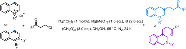 Graphical abstract: Iridium-catalyzed reductive β-alkylation of (iso)quinoline derivatives by an in situ enone-trapping strategy