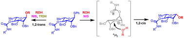 Graphical abstract: Influence of remote carbamate protective groups on the β-selectivity in rhamnosylations