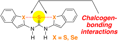 Graphical abstract: Formation of chalcogen-bonding interactions and their role in the trans–trans conformation of thiourea