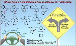 Graphical abstract: Chiral amino acids: evolution in atroposelective C–H activation