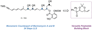 Graphical abstract: Synthesis of the monomeric counterpart of Marinomycin A and B