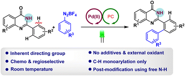 Graphical abstract: Green light-mediated dual eosin Y/PdII-catalyzed C(sp2)–H arylation of N–H unprotected 2-arylquinazolinones