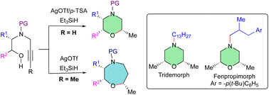 Graphical abstract: Deciphering substitution effects on reductive hydroalkoxylation of alkynyl aminols for stereoselective synthesis of morpholines and 1,4-oxazepanes: total synthesis of tridemorph and fenpropimorph