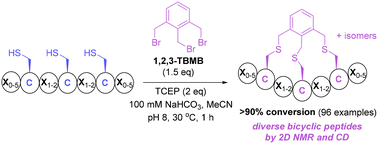 Graphical abstract: Accessing diverse bicyclic peptide conformations using 1,2,3-TBMB as a linker