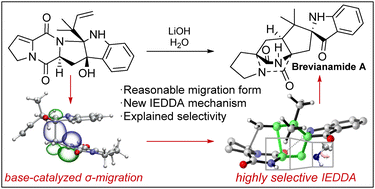 Graphical abstract: A comprehensive understanding of the mechanism of the biomimetic total synthesis of brevianamide A