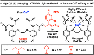Graphical abstract: Highly efficient Ca2+ chelation activated by visible light