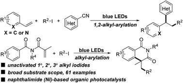 Graphical abstract: Visible-light-induced alkyl-arylation of olefins via a halogen-atom transfer process