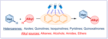Graphical abstract: Photochemical direct alkylation of heteroarenes with alkanes, alcohols, amides, and ethers