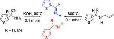 Graphical abstract: N-Unsubstituted 2- and 3-thiophenimines
