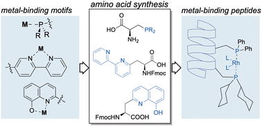 Graphical abstract: Synthesis of metal-binding amino acids