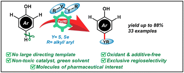 Graphical abstract: Fe(iii)-catalyzed p-selective C–H bond chalcogenation of phenols