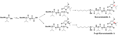 Graphical abstract: Total syntheses of Kavaratamide A and 5-epi-Kavaratamide A