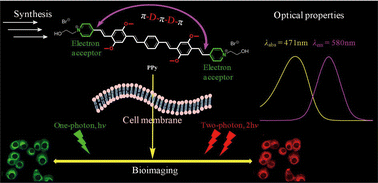 Graphical abstract: Synthesis, optical properties, and two-photon bioimaging evaluation of novel fluorescent cationic molecules with symmetrical long conjugated all-trans structures