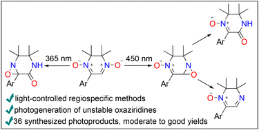 Graphical abstract: The study of the photochemical behavior of 5-aryl-2,3-dihydropyrazine 1,4-dioxides