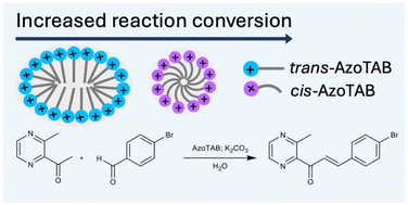 Graphical abstract: Size and shape matter for micellar catalysis using light-responsive azobenzene surfactants