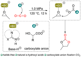 Graphical abstract: Halide-free ion pair organocatalyst from biobased α-hydroxy acid for cycloaddition of CO2 to epoxide