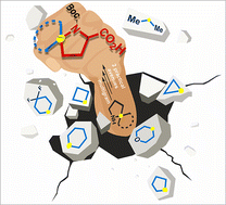 Graphical abstract: Concise practical avenues toward 5,5-spiro-α-prolines