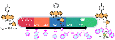 Graphical abstract: Synthesis, structure, and spectral and electrochemical properties of new visible to NIR absorbing 3-pyrrolyl BODIPY derivatives