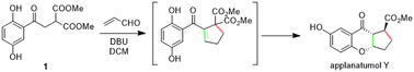 Graphical abstract: Concise total synthesis of (±)-applanatumol Y