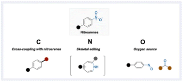 Graphical abstract: Transformative reactions in nitroarene chemistry: C–N bond cleavage, skeletal editing, and N–O bond utilization