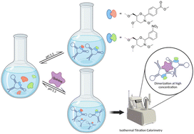 Graphical abstract: Post-SELEX modification of quinine aptamers through neoacetalization